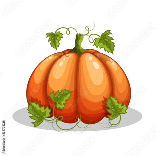 Halloween pumpkin isolated on white background.