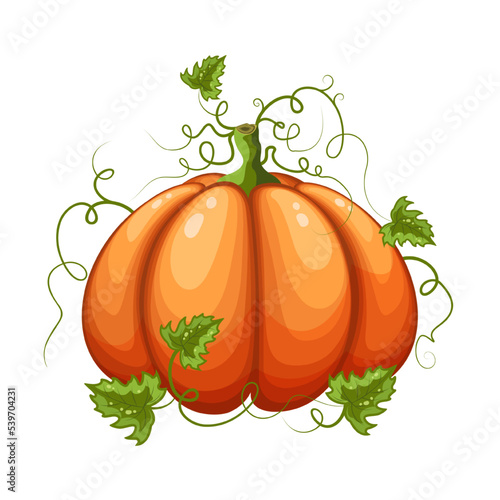 Halloween pumpkin isolated on white background.