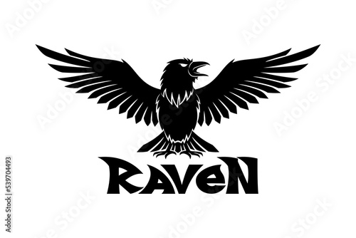 Raven bird icon with wings on white background.