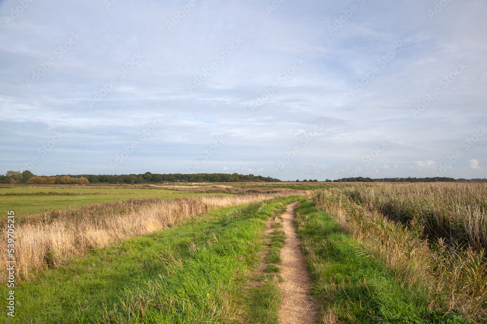 Footpath at Snape, Suffolk, England, United Kingdom Footpath at Snape, Suffolk, England, United Kingdom