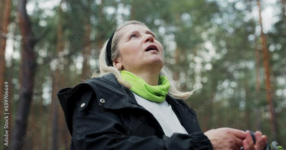 Sporty elderly woman in forest stopped for having break during hiking treking in woods. Delighted middle aged woman with gray hair resting relaxing in forest at weekends alone doing yoga exercises . Sporty elderly woman in forest stopped for having break during hiking treking in woods. Delighted middle aged woman with gray hair resting relaxing in forest at weekends alone doing yoga exercises .