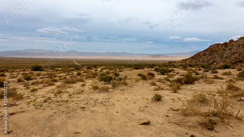The desert in Southern California   dry yellow brown sand and a blue cloudy sky  close to the Mojave National preserve.