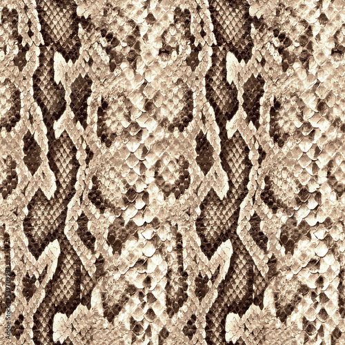 Seamless snake texture, python pattern.