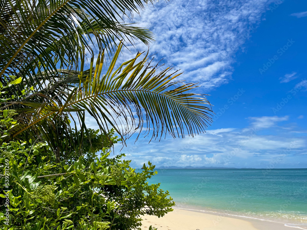 Fototapeta premium Stunning view of paradise sandy beach Panwa, vibrant blue sea ocean landscape and green palm trees on Phuket island in Thailand