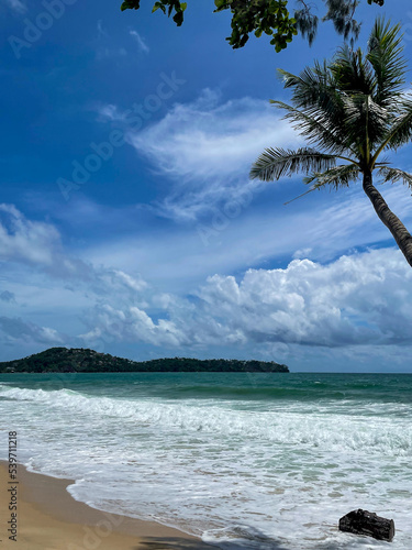 Stunning view of paradise sandy beach Panwa  vibrant blue sea ocean landscape and green palm trees on Phuket island in Thailand