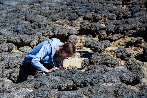 woman looks at stromatolites near shark bay in western australia, female archaeologist at work, viewing prehistoric fossils in australia © Jakub
