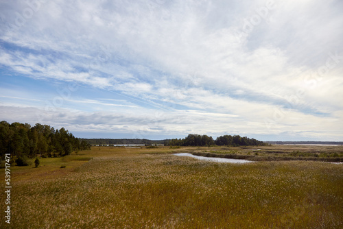 Natural landscape with lake, reed and beautiful sky cvered with clouds, selective focus