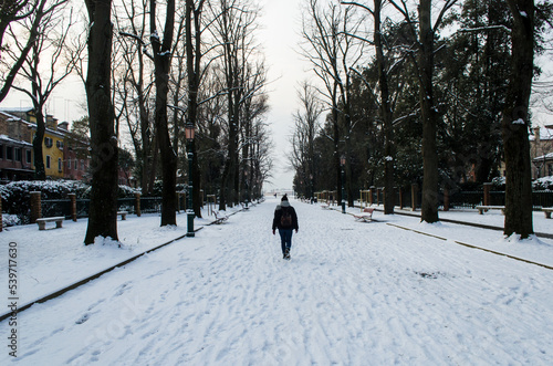 Una persona cammina in un viale alberato di Venezia coperto dalla neve in un giorno d'inverno