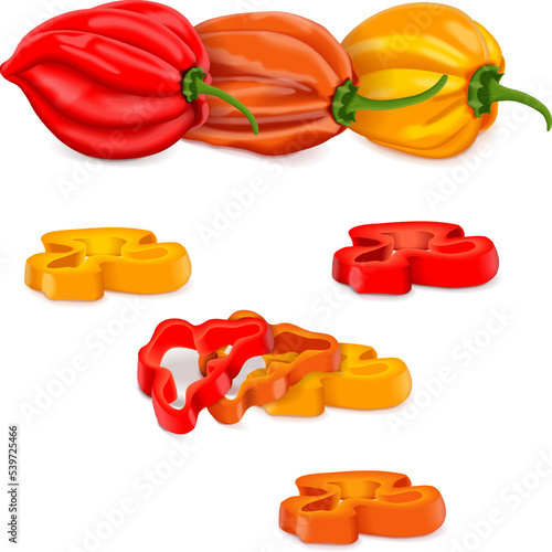 Whole, slices, and wedges of habanero. Red, orange, and yellow habanero chili peppers. Capsicum chinense. Hot chili pepper. Fresh organic vegetables. Vector illustration isolated on white background.