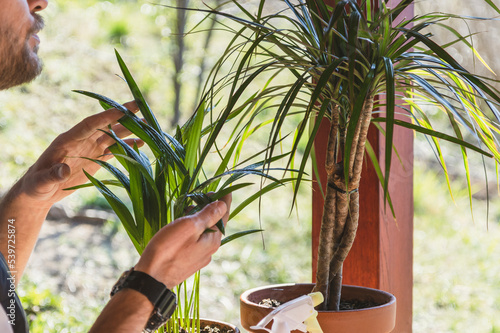 Care and watering house plants