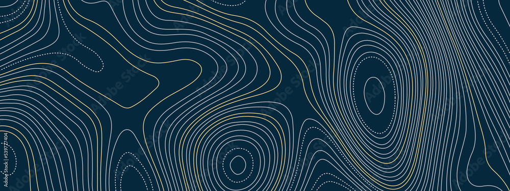 The stylized multicolored abstract topographic map contour, lines Pattern background. Topographic map and landscape terrain texture grid. Wavy banner and color geometric form. Vector illustration The stylized multicolored abstract topographic map contour, lines Pattern background. Topographic map and landscape terrain texture grid. Wavy banner and color geometric form. Vector illustration