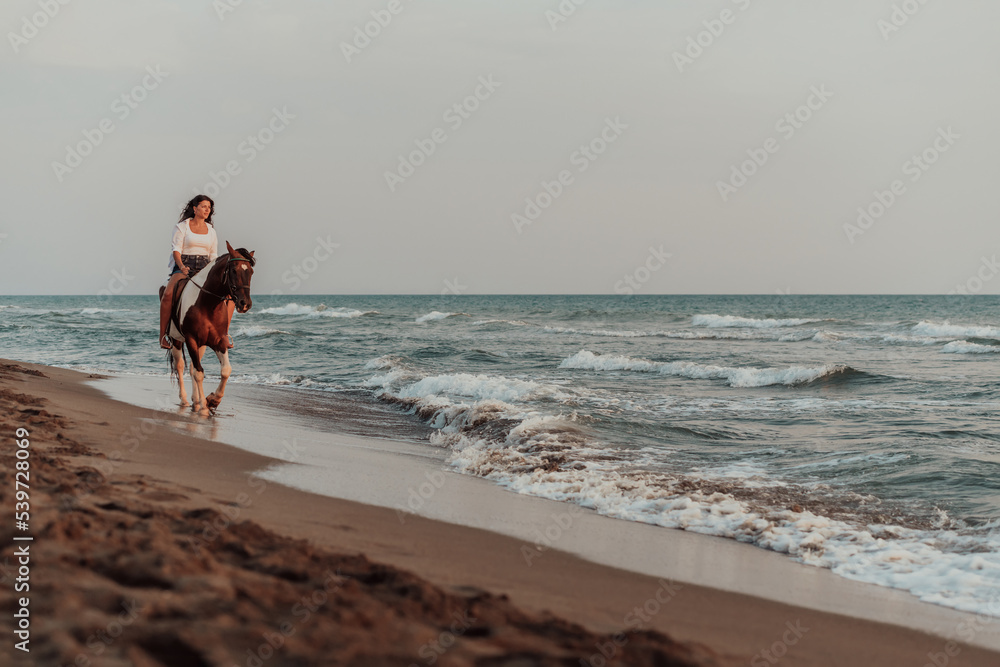 Woman in summer clothes enjoys riding a horse on a beautiful sandy beach at sunset. Selective focus Woman in summer clothes enjoys riding a horse on a beautiful sandy beach at sunset. Selective focus