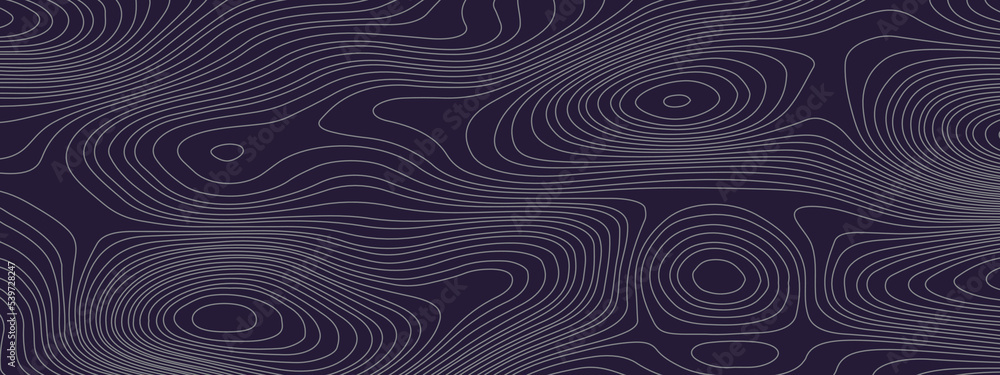 The stylized blue color abstract topographic map contour, lines Pattern background. Topographic map. Vector illustration. The stylized blue color abstract topographic map contour, lines Pattern background. Topographic map. Vector illustration.