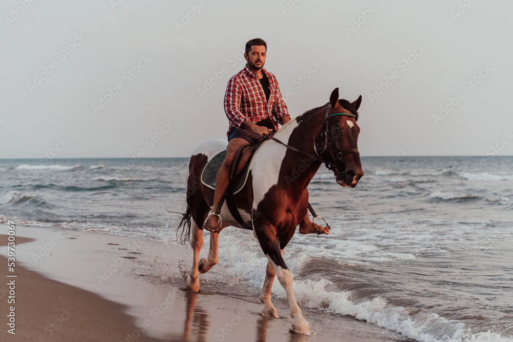 A modern man in summer clothes enjoys riding a horse on a beautiful sandy beach at sunset. Selective focus A modern man in summer clothes enjoys riding a horse on a beautiful sandy beach at sunset. Selective focus