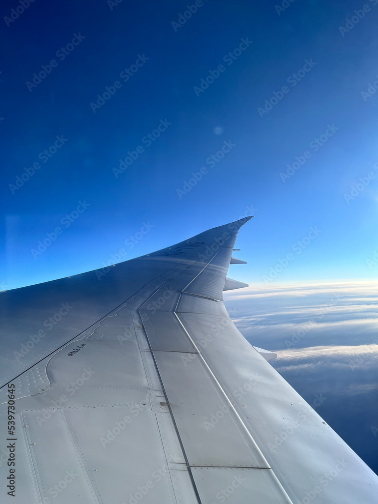 wing of airplane wing of airplane