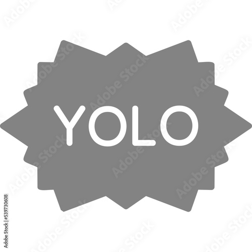 Yolo Icon