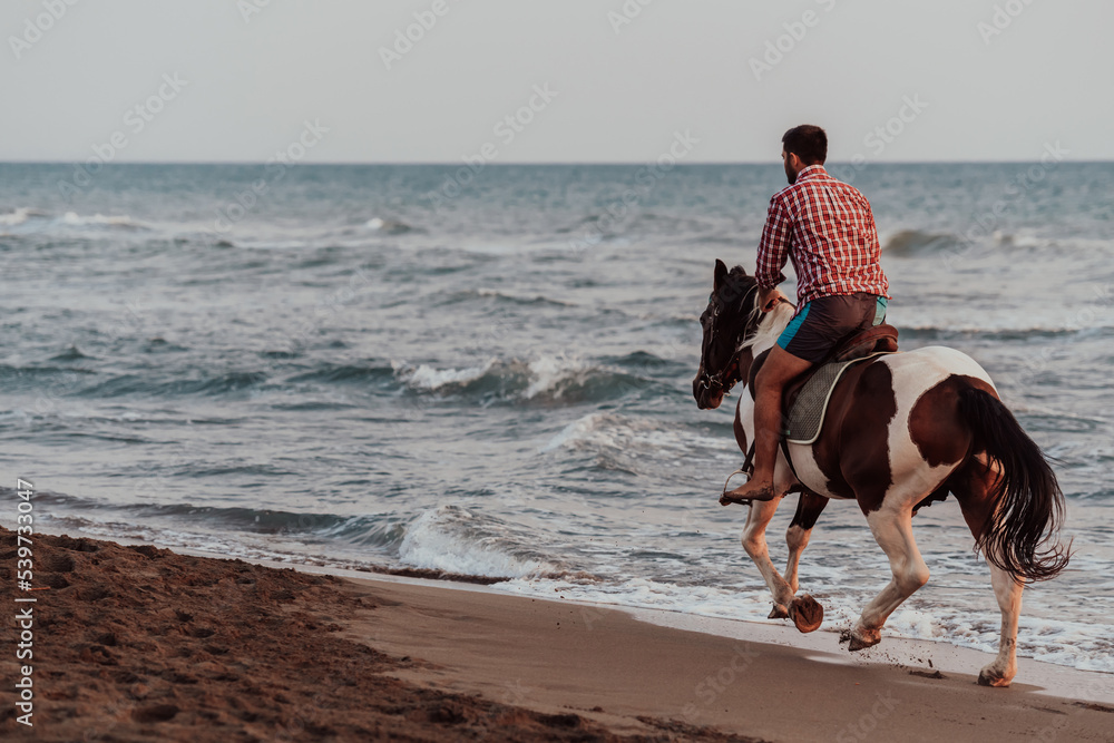 A modern man in summer clothes enjoys riding a horse on a beautiful sandy  beach at sunset. Selective focus foto de Stock | Adobe Stock