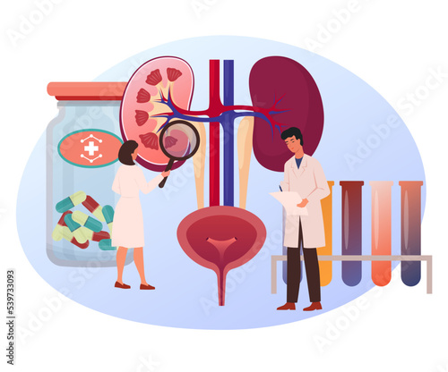 Kidney treatment concept. Chronic kidney disease test examination. Prescription of hemodialysis procedure. Tiny doctors examining the kidney and making notes. First aid, hospital. vector illustration.