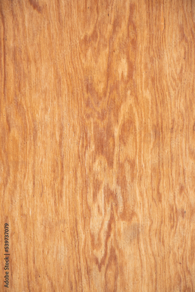 Naklejka premium Texture of wood background closeup