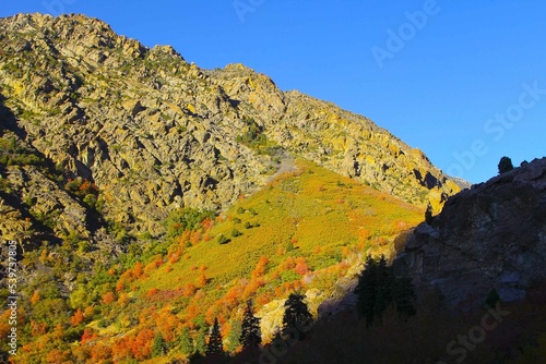 Big Cottonwood Canyon - coloful forest in Autumn, Lake; Salt Lake City - Utah