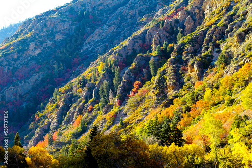 Big Cottonwood Canyon - Maple forest in Autumn, Lake; Salt Lake City - Utah