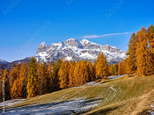 arch woods with the orange colors of autumn. Autumn foliage in the woods, overlooking the Belluno Dolomites in Cortina d'Ampezzo, Veneto, Italy, Europe. 