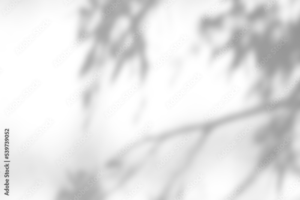 Shadow overlay effect on white background. Abstract sunlight background ...