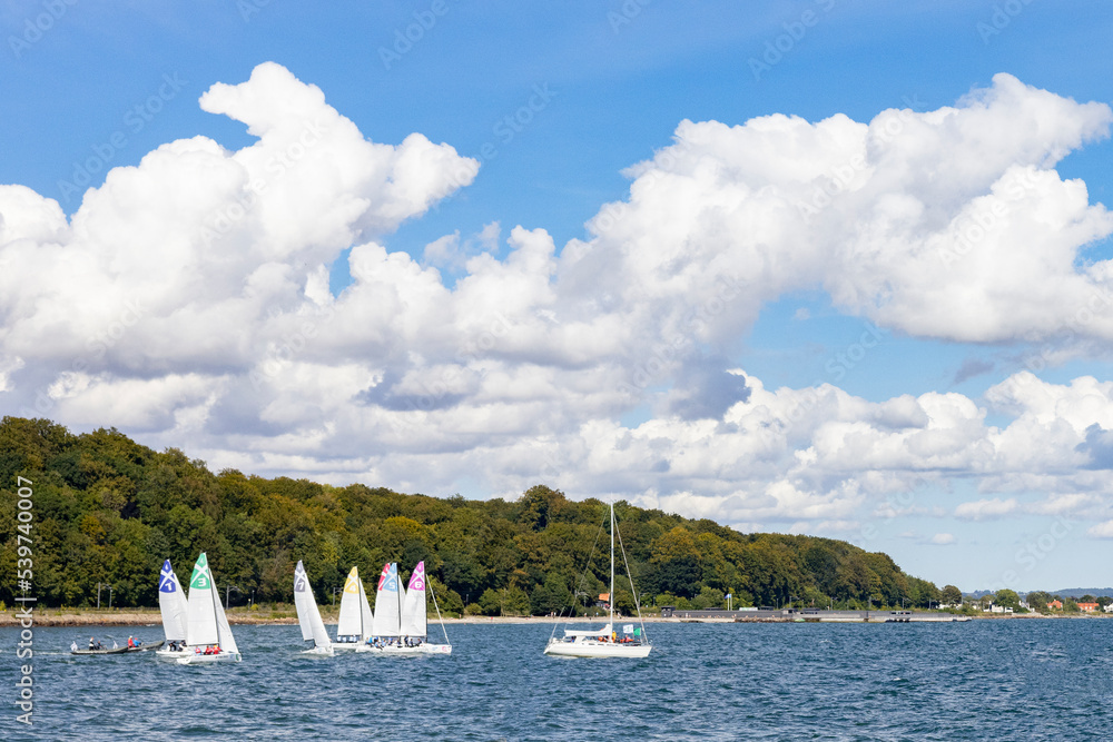 Obraz premium Regatta in Aarhus' harbor area,Denmark,Europe