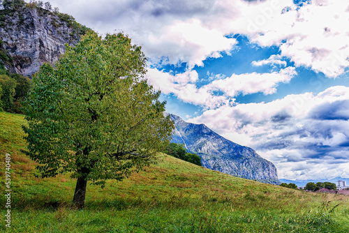 Fontanil Cornillon 11 2021 lonely tree in a field, mountains and cloudy blue sky in the background photo