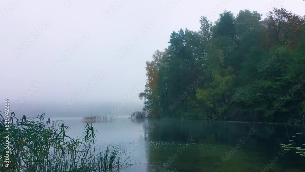 Foggy Autumn Forest Lake. Mist covering water, slow aerial movement
Foggy Autumn Forest Lake. Mist covering water, slow aerial movement