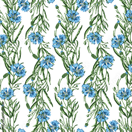 Seamless background of drawn blue wild cornflowers