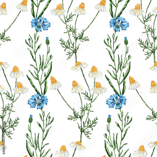Seamless background of drawn camomile and cornflowers