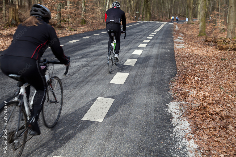 Forest in Denmark north form copenhagen