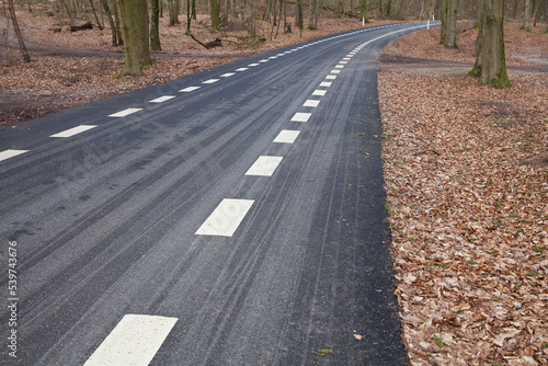 Canvas Print Forest in Denmark north form copenhagen