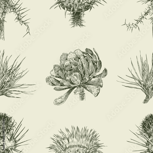 Fototapeta Naklejka Na Ścianę i Meble -  Seamless pattern of sketches various tropical hardy plants