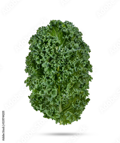 Fresh kale isolated on transparent background (.PNG)
