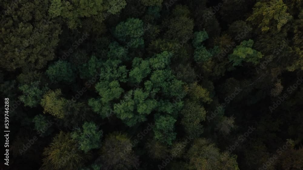 hilly region, central europe, early autumn, shot by drone at a height of 300 meters, late afternoon hilly region, central europe, early autumn, shot by drone at a height of 300 meters, late afternoon