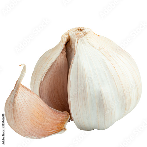 Garlic head and one segment isolated on white background