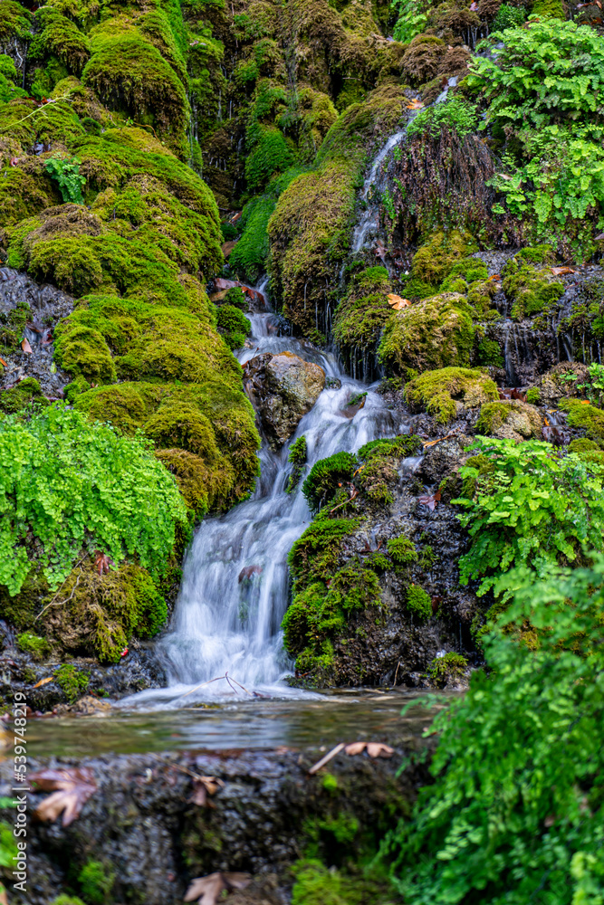 Fototapeta premium Beautiful view of the waterfall in the forest. Waterfall on mossy rocks in Harbiye, Antakya, Hatay, Turkey. Selective focus, noise effect. 