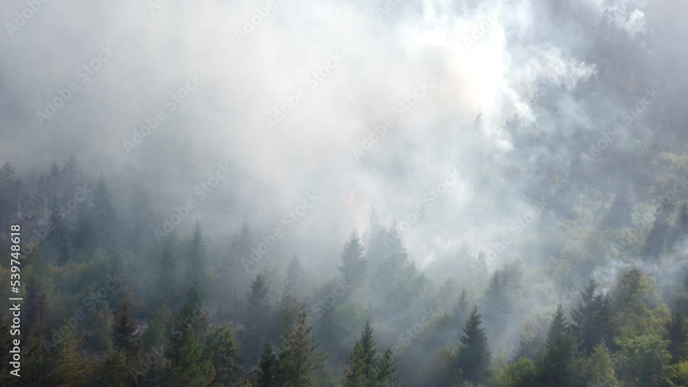 A fire in the forest filmed by a drone fog in forest
A fire in the forest filmed by a drone fog in forest