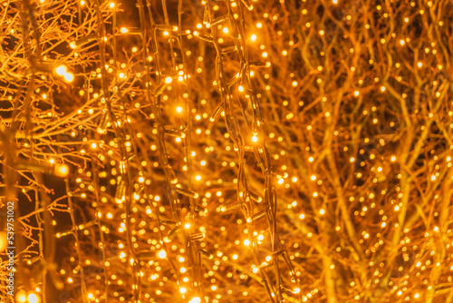 Illuminated trees with lots of lights. Outdoor Christmas decoration.