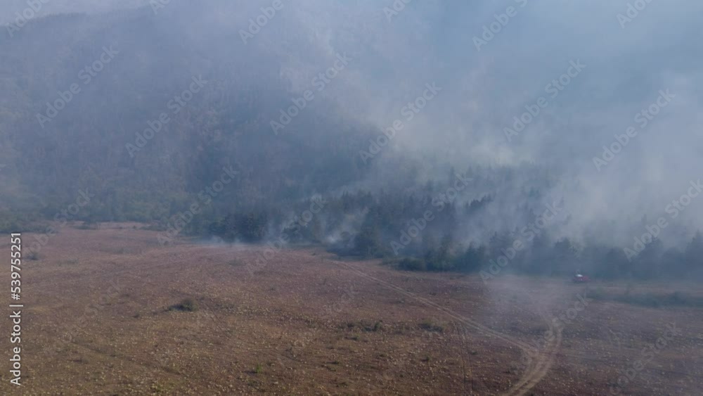 A fire in the forest filmed by a drone fog in forest
A fire in the forest filmed by a drone fog in forest
