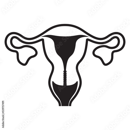 Female reproductive organ icon. Reproductive system anatomy Vector illustration.