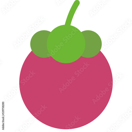 mangosteen healthy fruit diet icon
