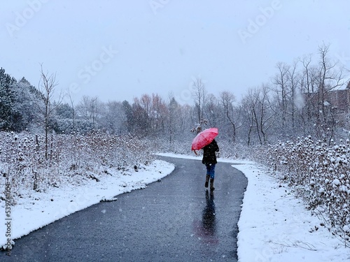 person walking in the snow