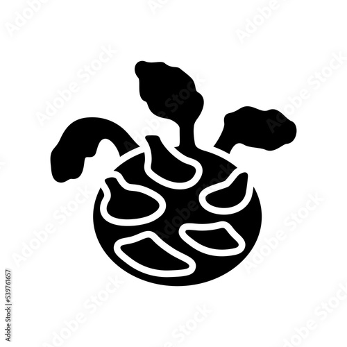 Kohlrabi or German Turnip isolated vector icon
