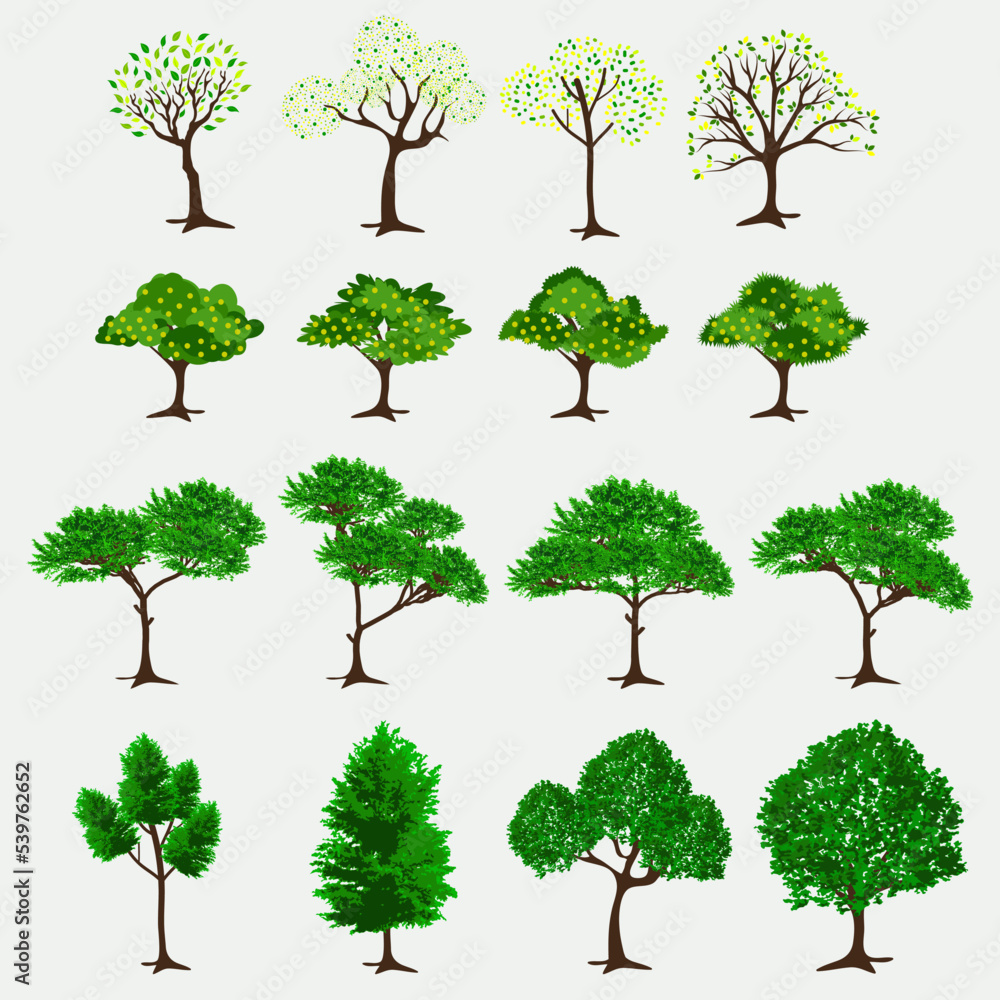 Fototapeta premium Trees illustration design bundle