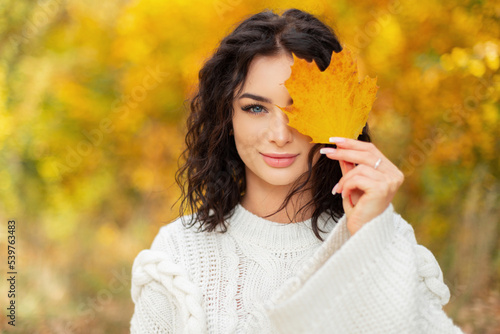 Autumn bright portrait of a beautiful happy curly girl with blue eyes and clean skin in a fashionable knitted white sweater covers her face with a red autumn yellow leaf and looks at the camera
