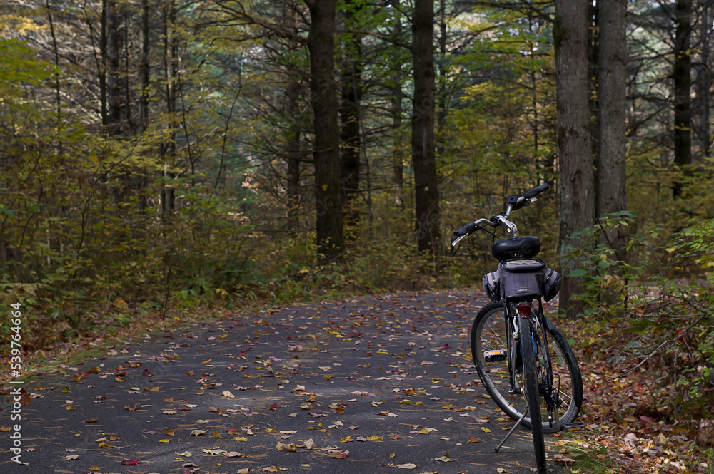 Fototapeta premium Vélo sur piste cyclable en automne