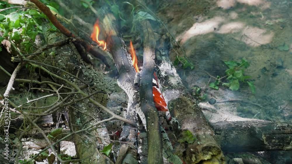 Bonfire with smoke in the forest Bonfire with smoke in the forest